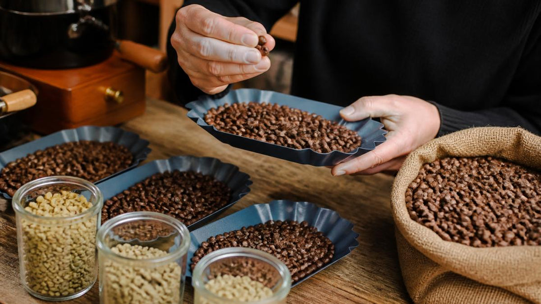 How to Tell If Coffee Beans Are Fresh: 7 Signs